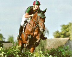 jumper Killepitsch 2 (Holsteiner, 2010, from Clintord)