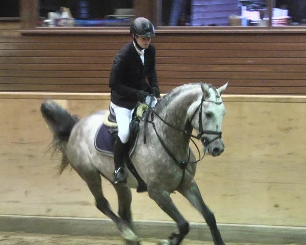 Reitturnier Mannheim-Neckarau 2018