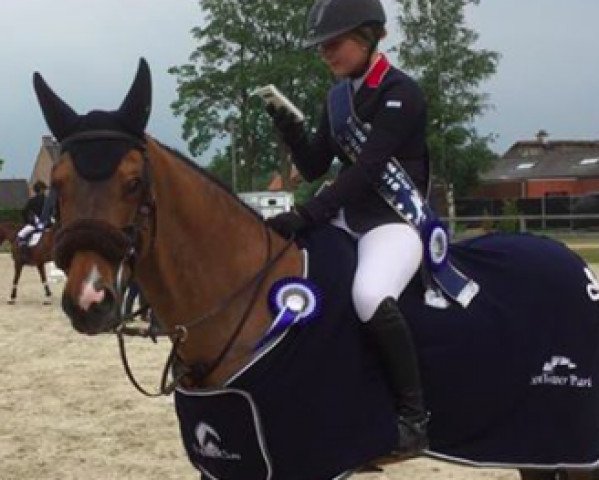 jumper Doobally (Westphalian, 2004, from Cornet Obolensky) jumper Doobally (Westphalian, 2004, from Cornet Obolensky)