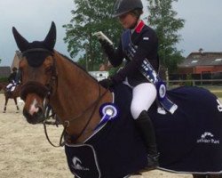 jumper Doobally (Westphalian, 2004, from Cornet Obolensky)