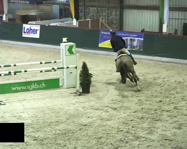 Hallenspringen Oberriet 2018