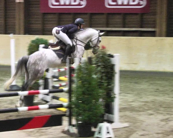 Reitturnier Mannheim-Neckarau 2018