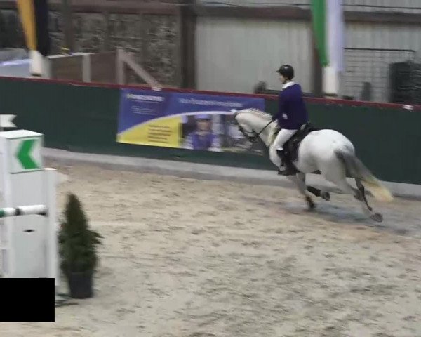 Hallenspringen Oberriet 2018
