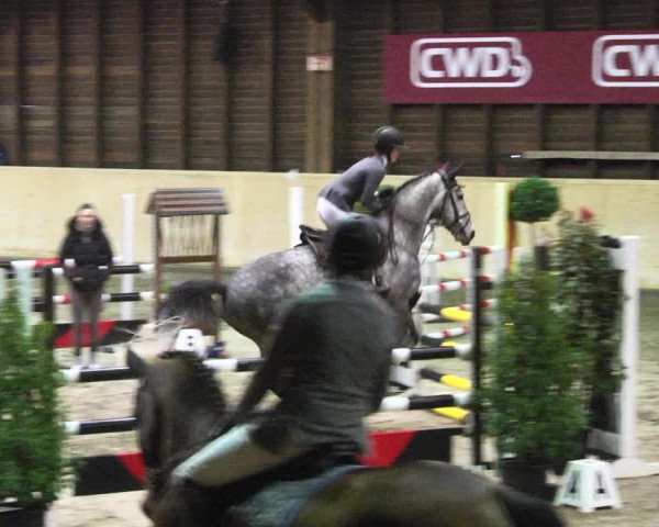 Reitturnier Mannheim-Neckarau 2018