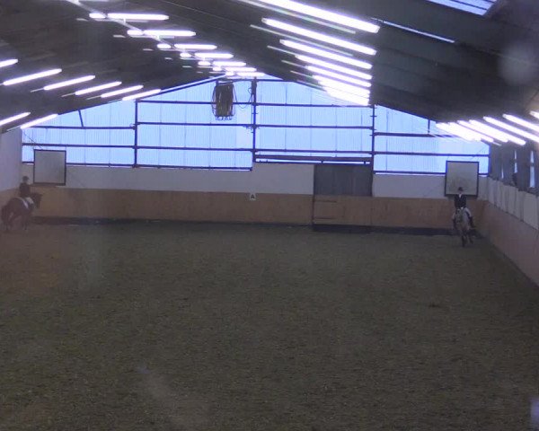 Reitturnier Datteln 2021