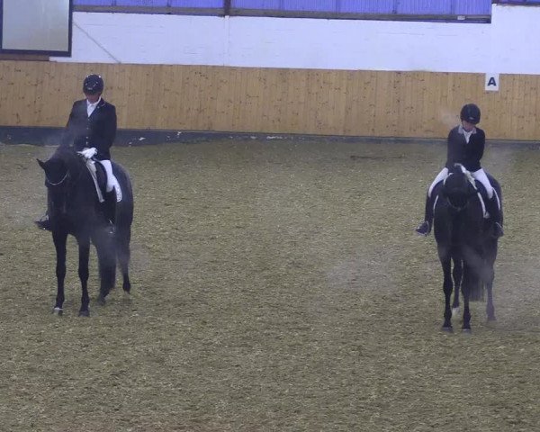 Reitturnier Datteln 2021