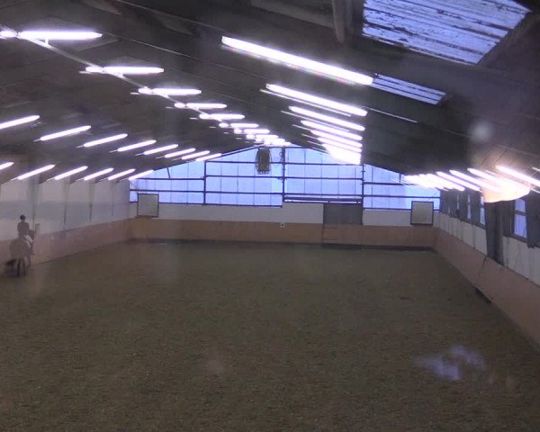 Reitturnier Datteln 2021