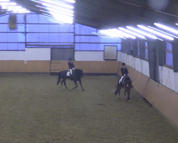 Reitturnier Datteln 2021