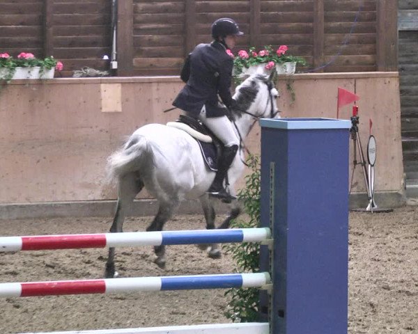 Reitturnier Mannheim-Neckarau 2018