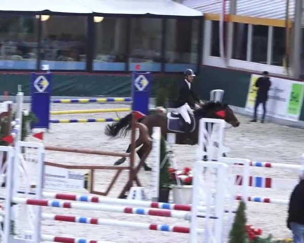Hallenspringen Oberriet 2018