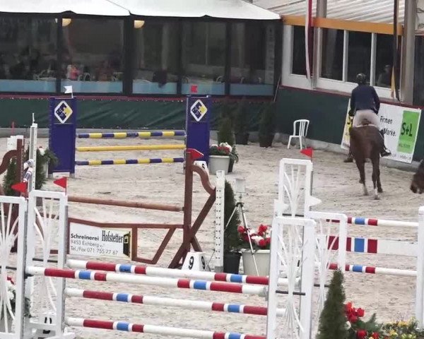 Hallenspringen Oberriet 2018