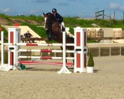 broodmare Britney ZP (Holsteiner, 2009, from Cassini I)