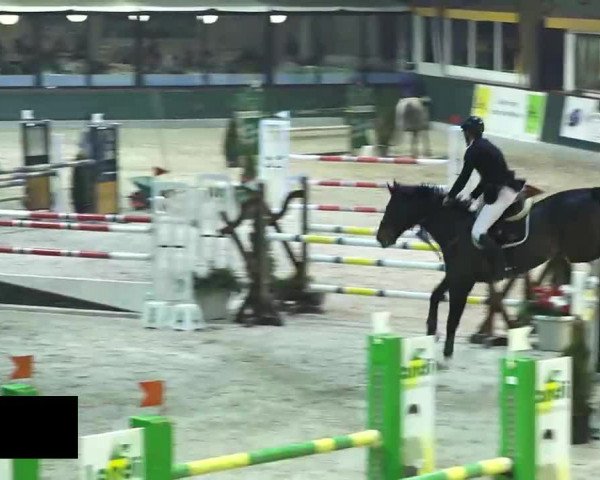 Hallenspringen Oberriet 2018