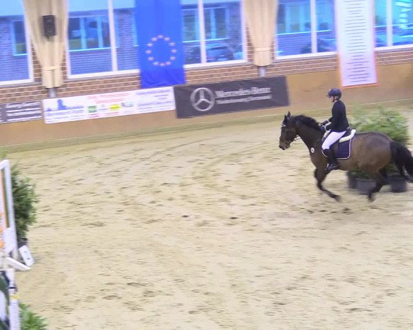 Reitturnier Seppenrade 2018