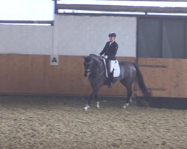 Reitturnier Datteln 2021