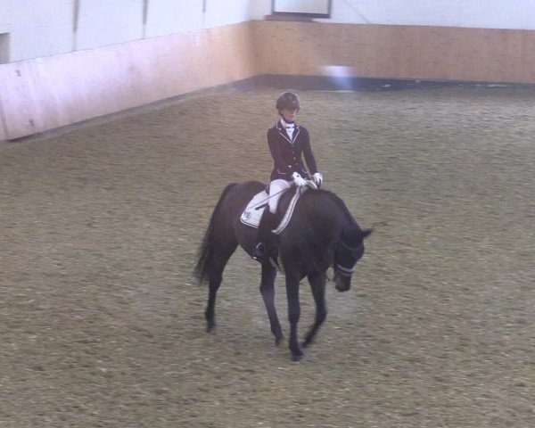 Reitturnier Datteln 2021