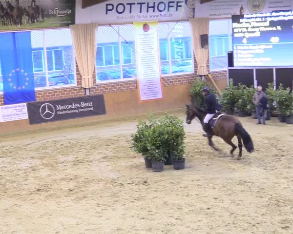 Reitturnier Seppenrade 2018