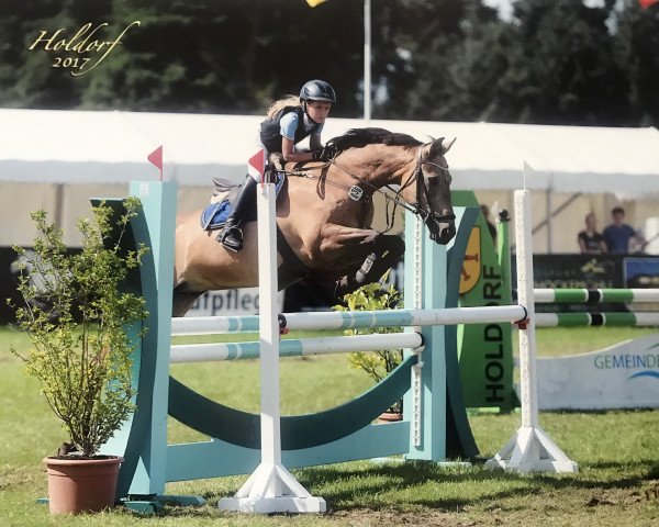 jumper Whos Dj (Pony without race description, 2004)