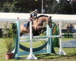 jumper Whos Dj (Pony without race description, 2004)