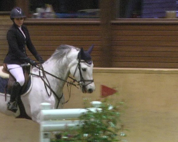 Reitturnier Mannheim-Neckarau 2018