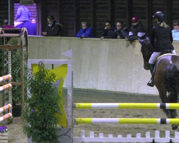 Reitturnier Mannheim-Neckarau 2018