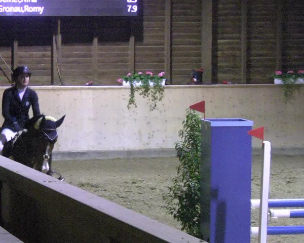 Reitturnier Mannheim-Neckarau 2018