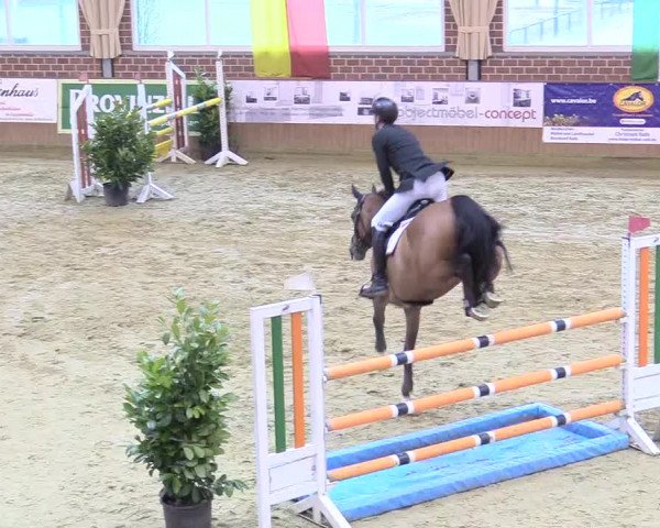 Reitturnier Seppenrade 2018