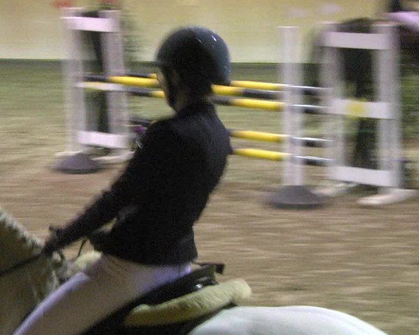 Reitturnier Mannheim-Neckarau 2018