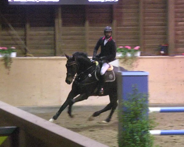 Reitturnier Mannheim-Neckarau 2018