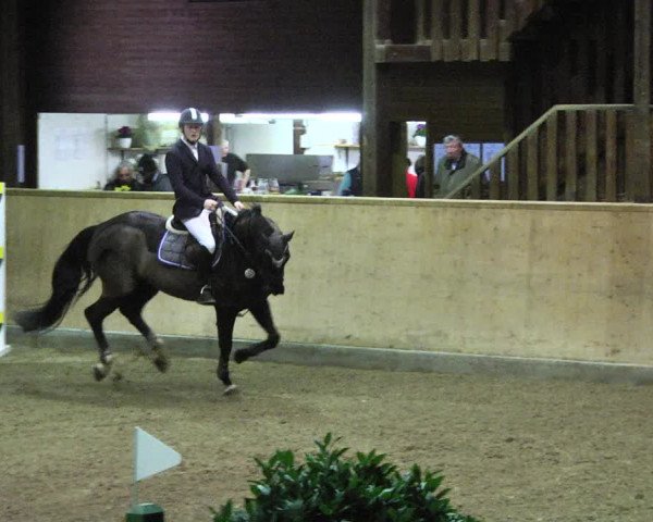 Reitturnier Mannheim-Neckarau 2018