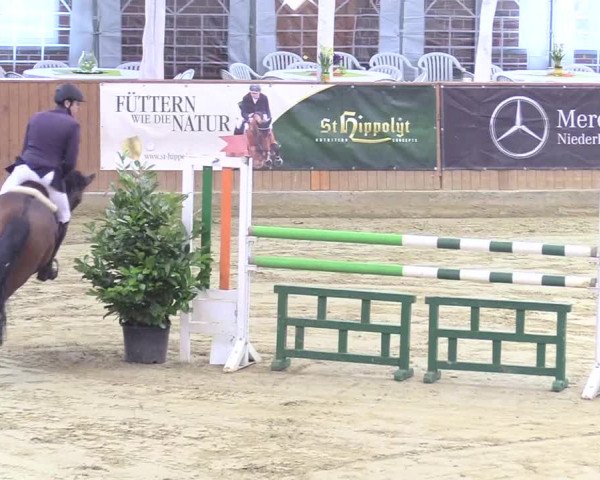 Reitturnier Seppenrade 2018