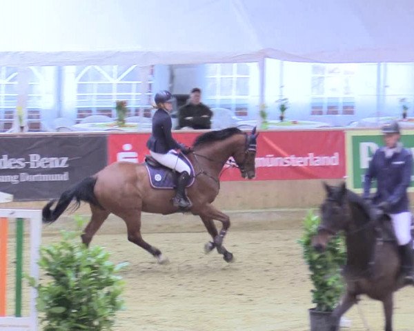 Reitturnier Seppenrade 2018