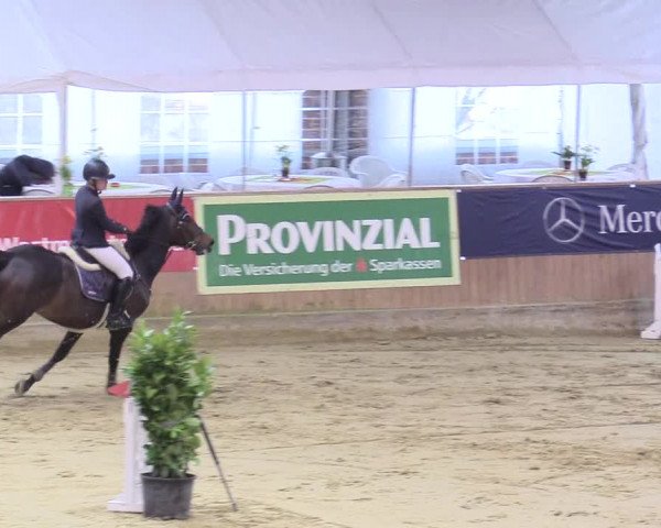 Reitturnier Seppenrade 2018
