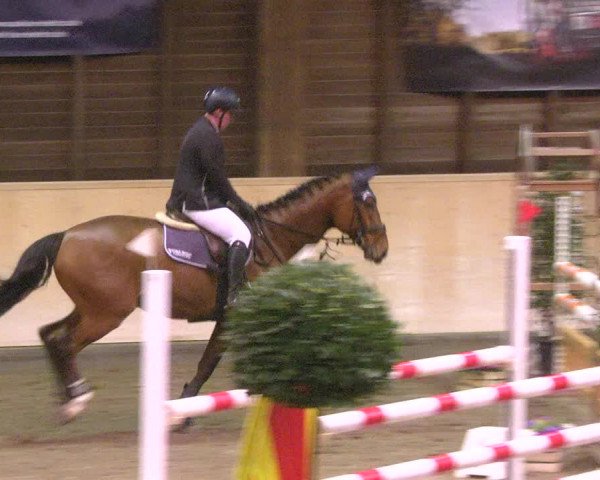 Reitturnier Mannheim-Neckarau 2018