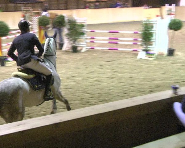 Reitturnier Mannheim-Neckarau 2018