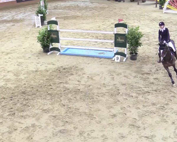 Reitturnier Seppenrade 2018