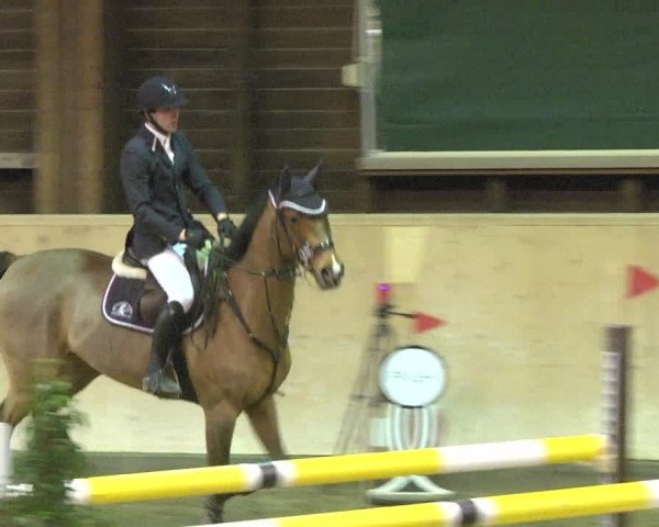 Reitturnier Mannheim-Neckarau 2018