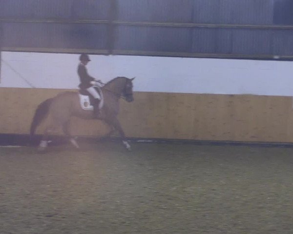 Reitturnier Datteln 2021