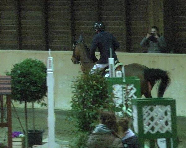 Reitturnier Mannheim-Neckarau 2018