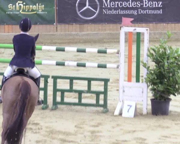Reitturnier Seppenrade 2018