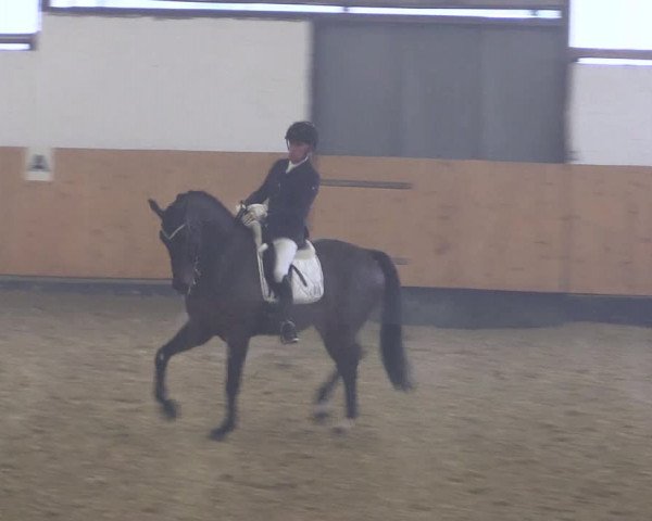 Reitturnier Datteln 2021