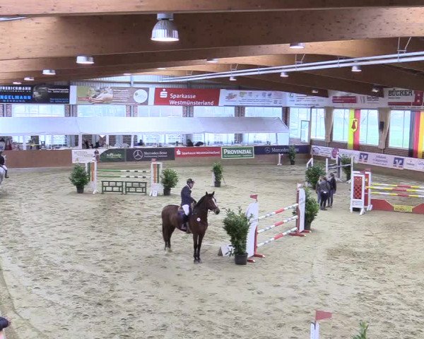 Reitturnier Seppenrade 2018