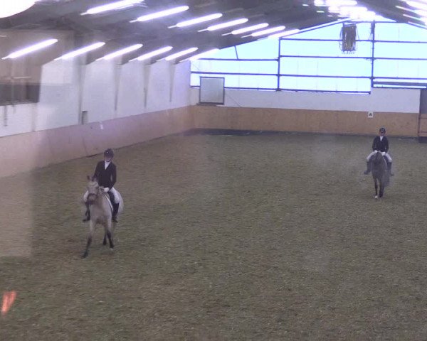 Reitturnier Datteln 2021
