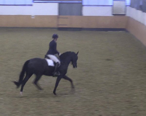 Reitturnier Datteln 2021