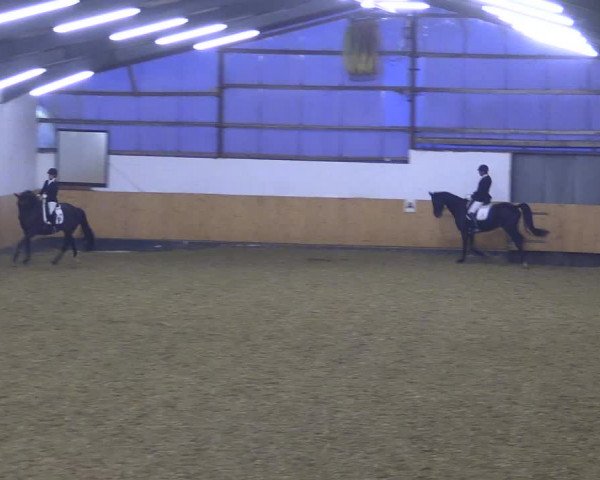 Reitturnier Datteln 2021
