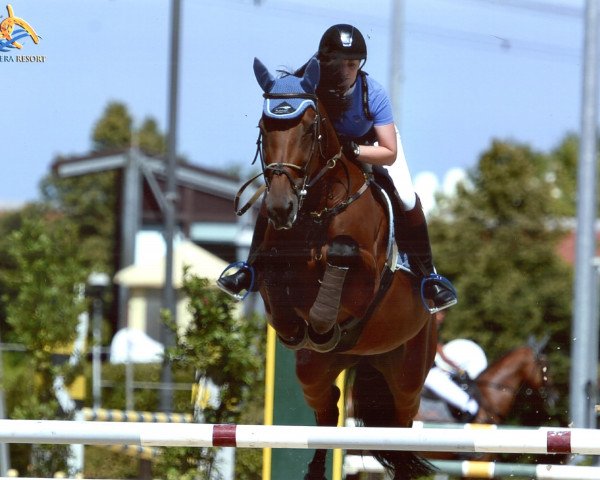 jumper Kilmorane Jackless Sf (Württemberger, 2005, from Candillo Z)