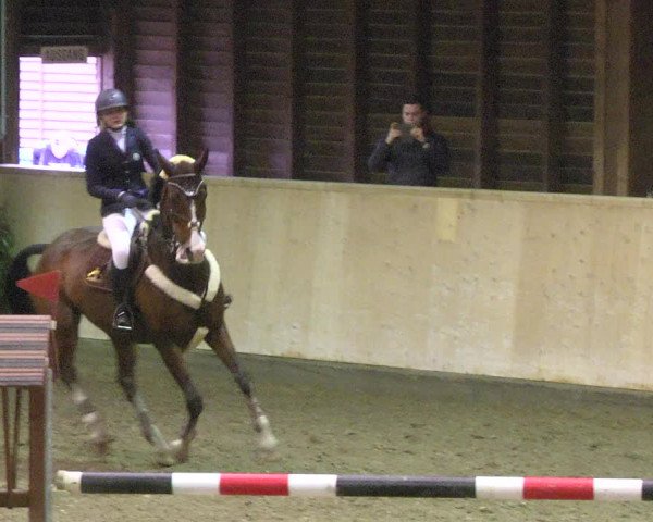 Reitturnier Mannheim-Neckarau 2018