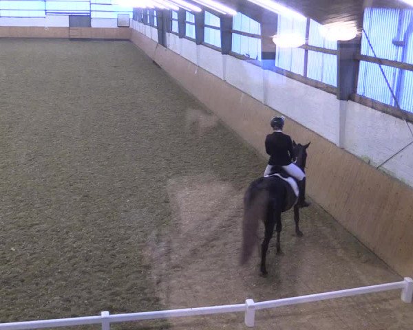 Reitturnier Datteln 2021