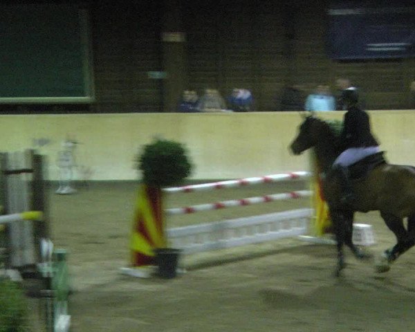 Reitturnier Mannheim-Neckarau 2018