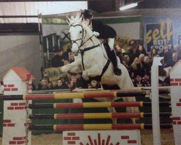 jumper Sharona 2 (KWPN (Royal Dutch Sporthorse), 1999, from Zortin)